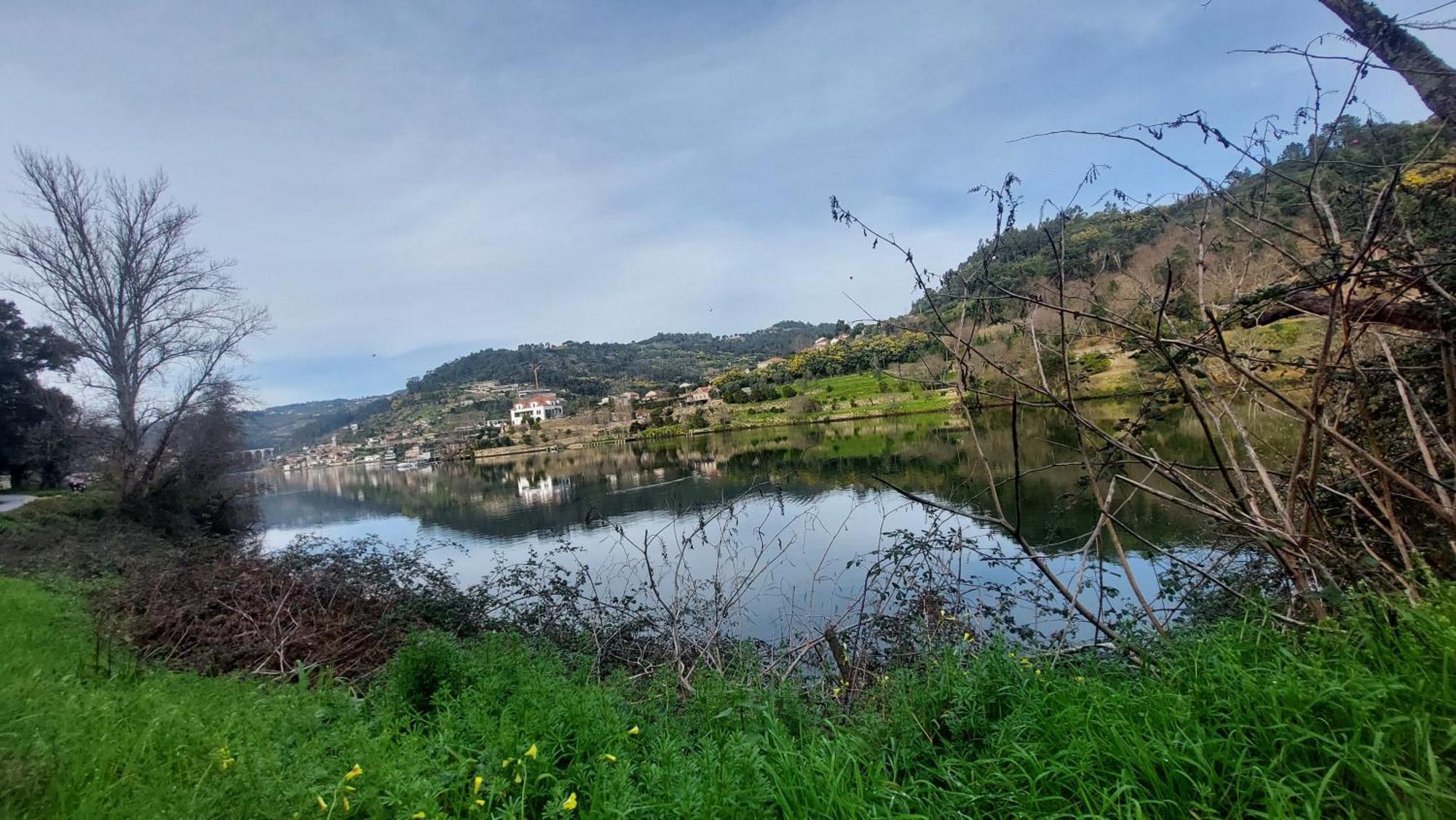 Welcome Douro Cinfaes Εξωτερικό φωτογραφία